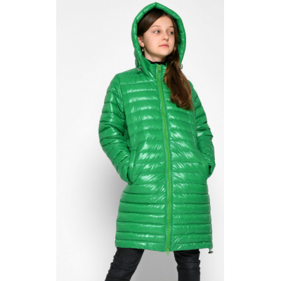 Куртка DT-8342-12 зелёная