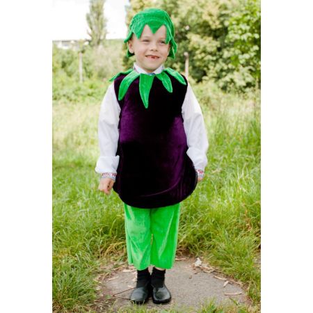Карнавальний костюм Баклажан №1