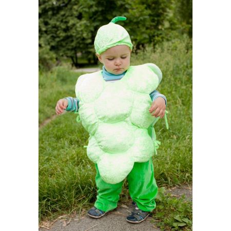 Карнавальный костюм Виноград №1