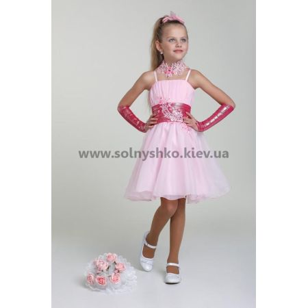 Ошатне плаття для дівчинки 4712