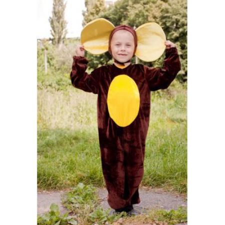 Carnival costume Cheburashka №1