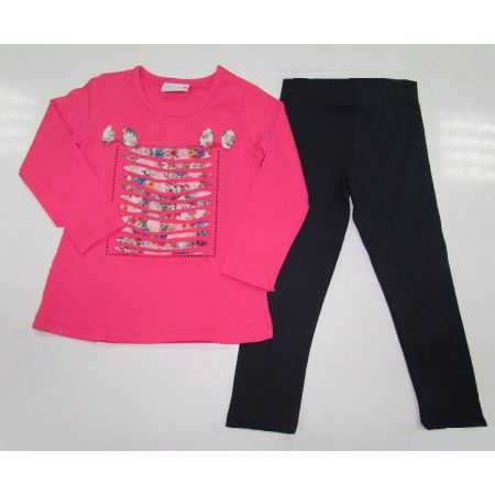 Set (leggings and raglan) for the girl 2072