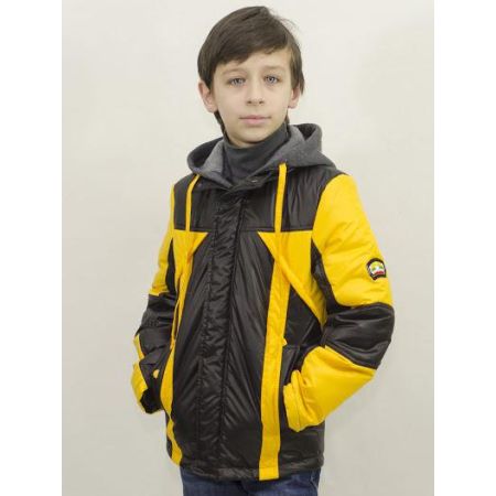 Куртка демисезонная для мальчика Тайгер