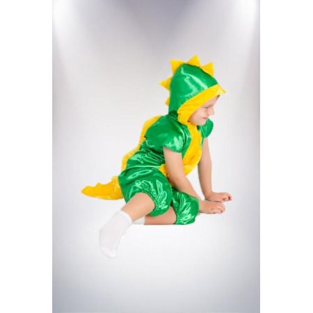 Carnival costume Dragon №5