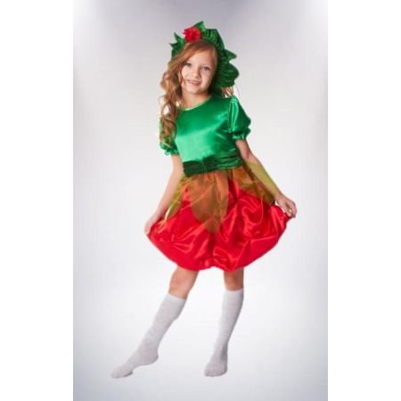 Карнавальний костюм Ягідка №5