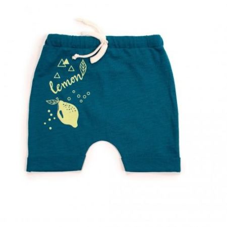 Шорти для хлопчика Lemon Doggy 104-4.76 ТМ Veres