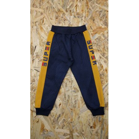 Спортивні штани для хлопчика 5888 сині ТТМ S&D kids, Угорщина