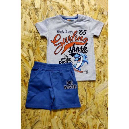 Set (t-shirt and shorts) for the boy 2050