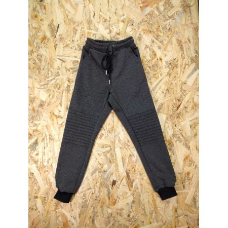 Спортивні штани джоггер G28-A сірі