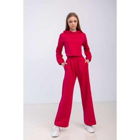 Спортивний костюм Лерейн 7181 малиновий