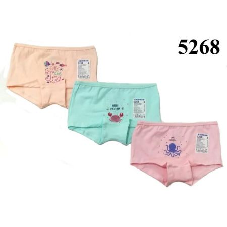 Briefs for girls 5268
