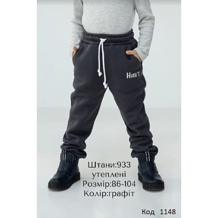 Спортивні штани 00933 графіт