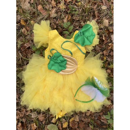 Карнавальний костюм Диня 5