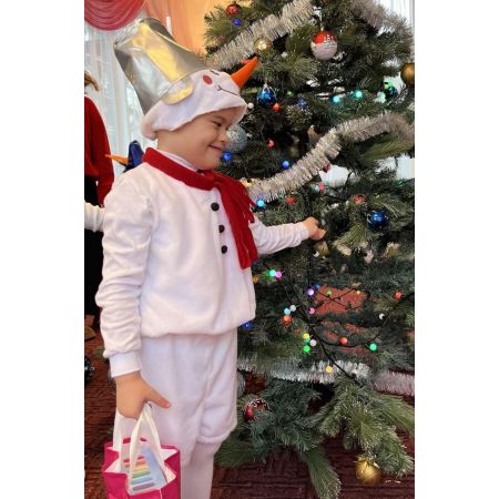 Карнавальний костюм Сніговик № 10